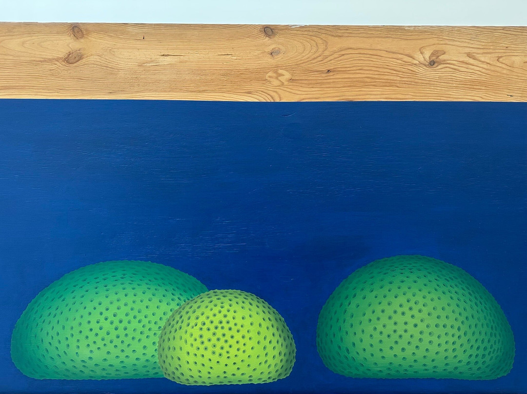 Musée d'Art Moderne et Contemporain-斯特拉斯堡必去景点