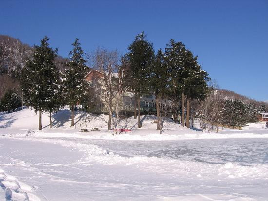 Auberge du Coq de Montagne主图