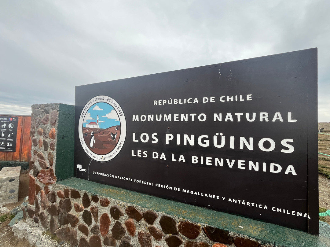 Isla Magdalena-蓬塔阿雷纳斯必去景点