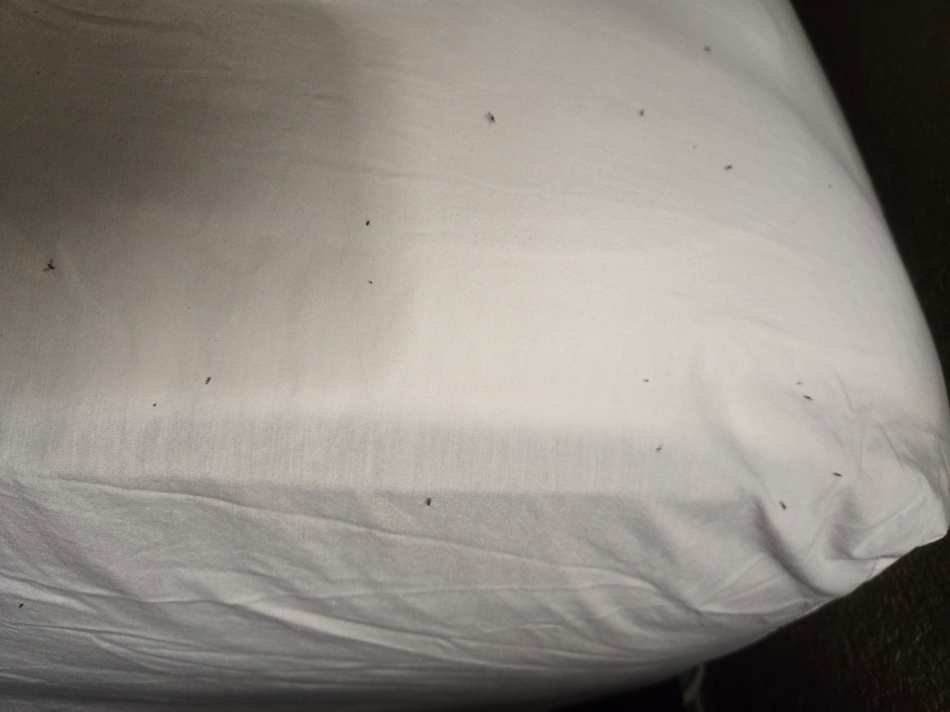 Village Inn Hotel & Event Center, Trademark Collection by Wyndham-官方