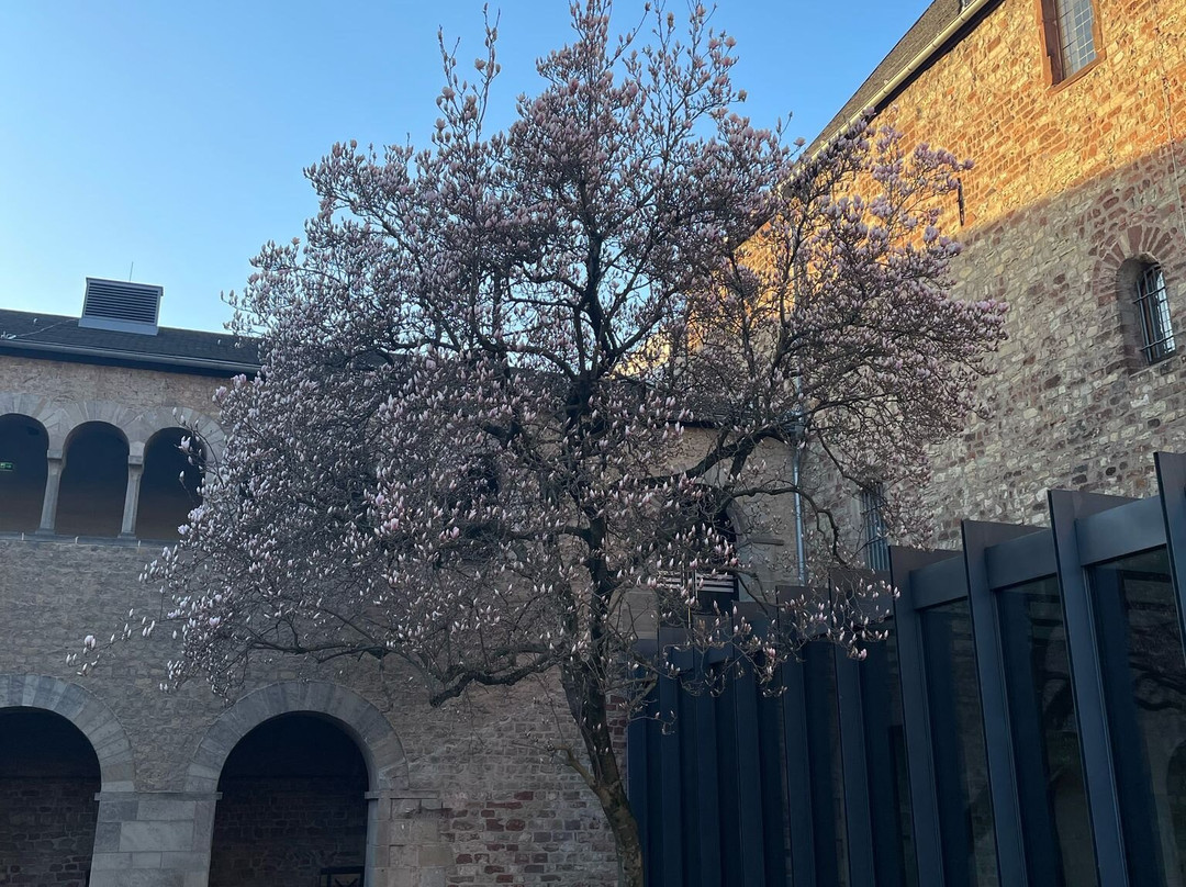 Stadtmuseum Simeonstift-特里尔必去景点