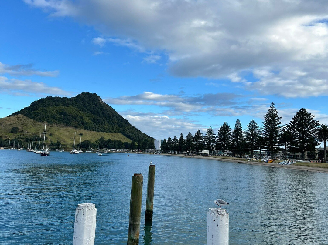 Zealandier Tours-陶兰加必去景点