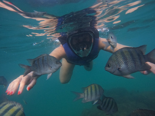 Pe Scuba-嘎林海斯港必去景点