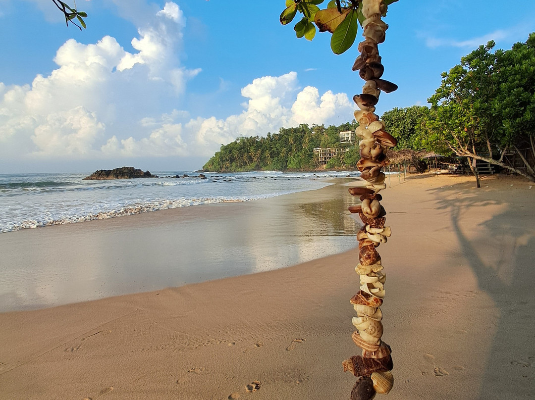 Come Visit Sri Lanka景点图片