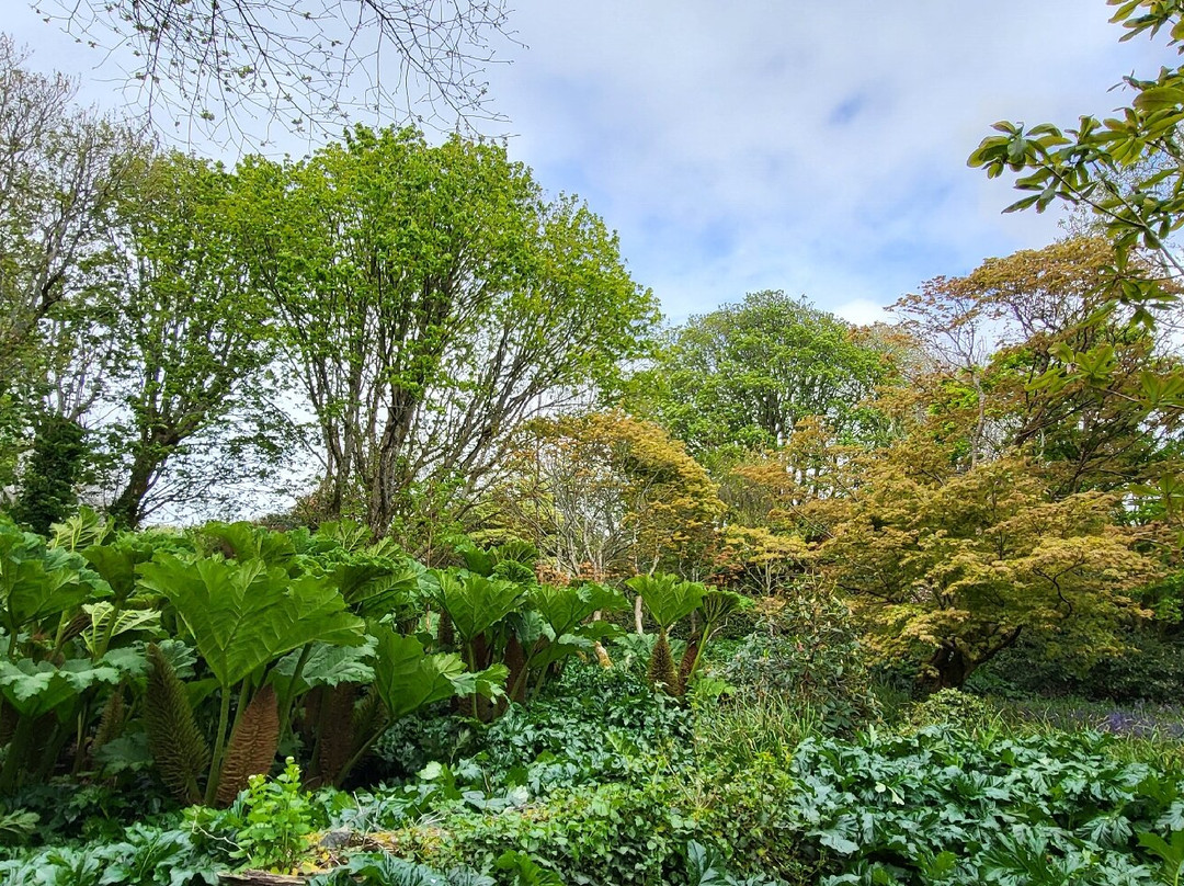Trewidden Garden-Newlyn必去景点