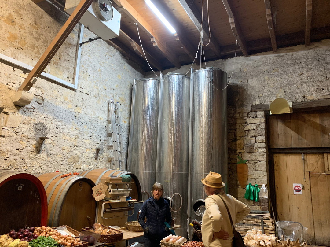 Weingut Ziereisen景点图片