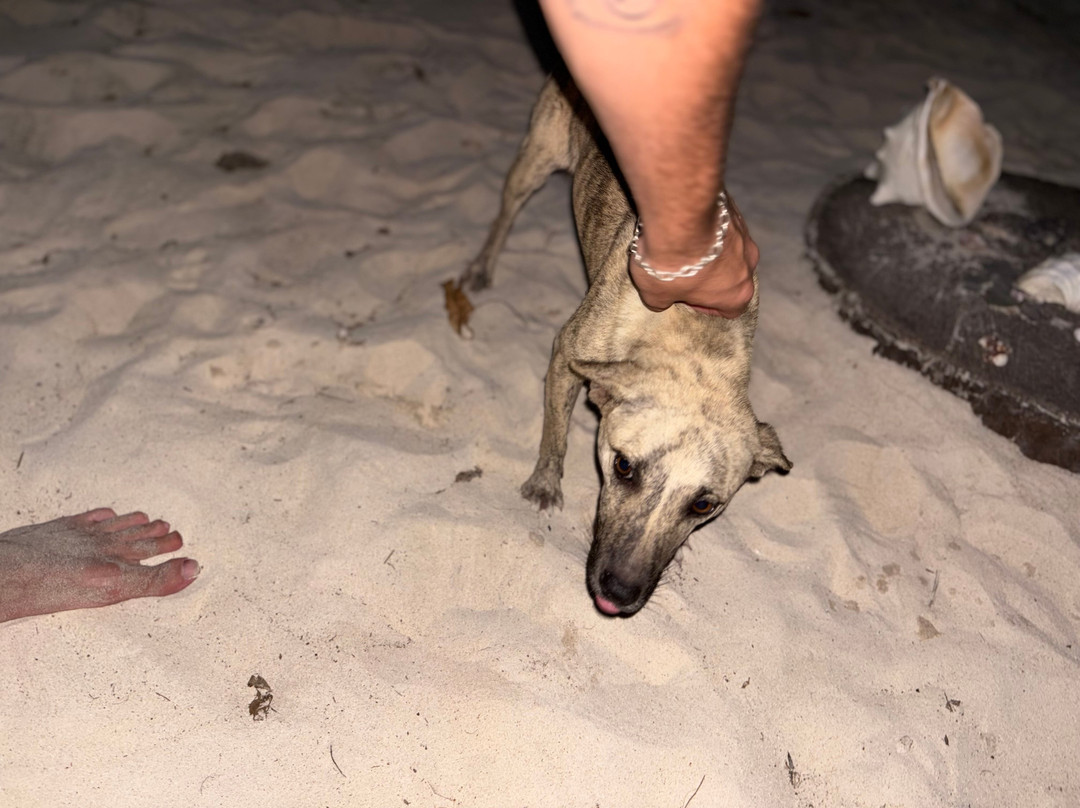 Patuyo Island Experience-Patoyo Island必去景点
