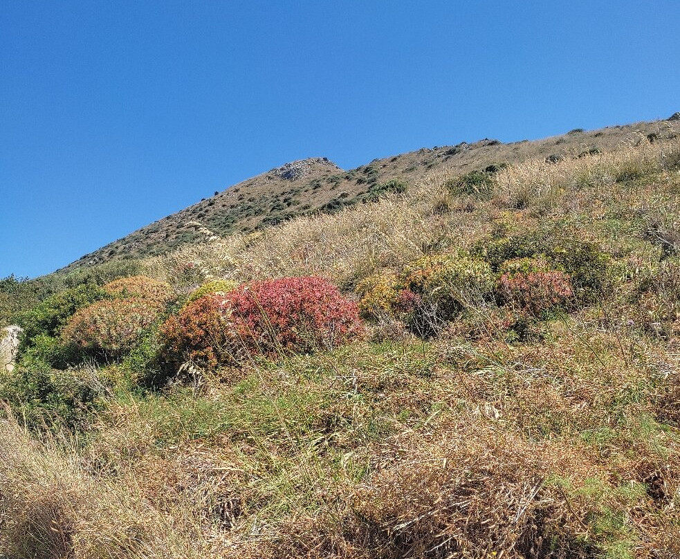 Punta Campanella-马萨卢布伦塞必去景点
