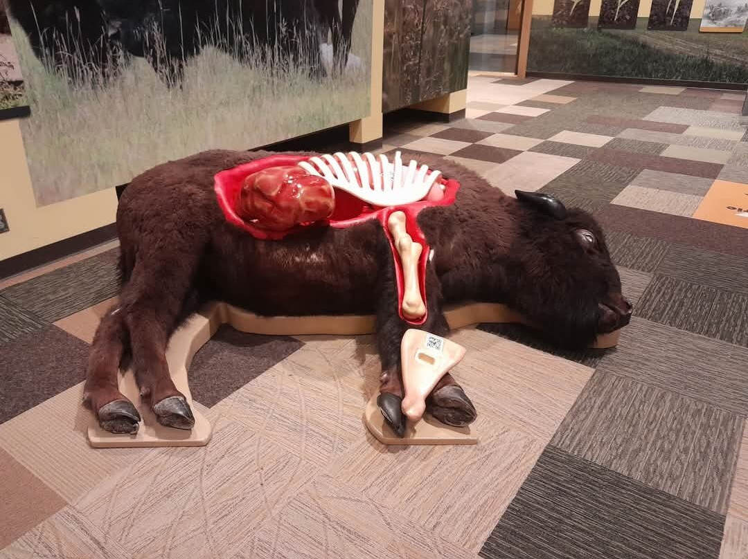 Minnesota History Center-圣保罗必去景点