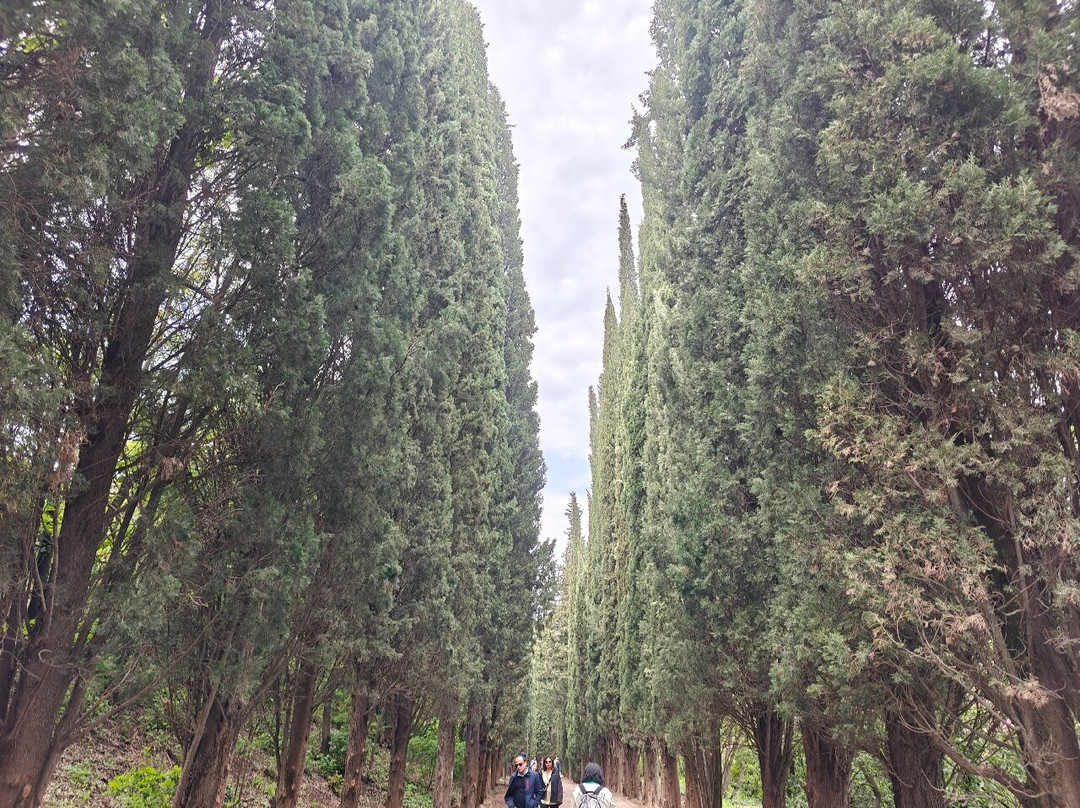 National Botanical Garden of Georgia景点图片