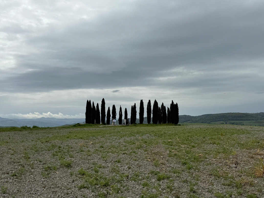 Cipressi di San Quirico d'Orcia-圣奎里科多尔恰必去景点