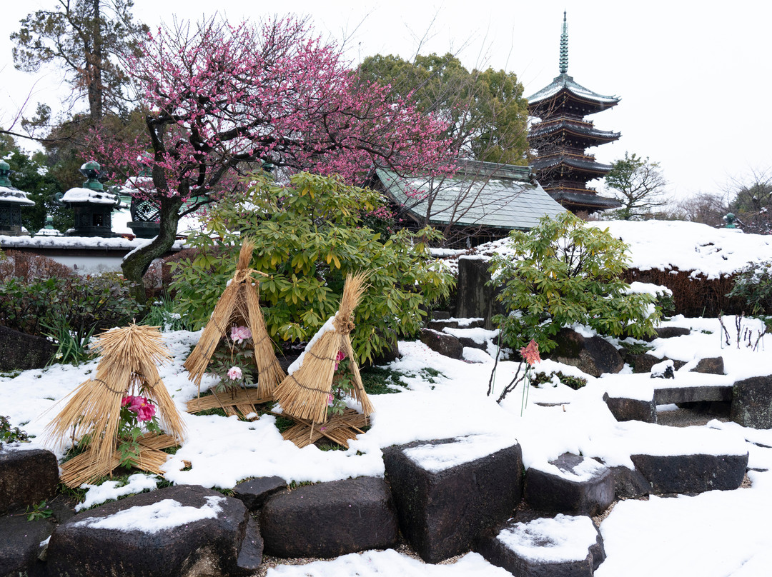 Ueno Toshogu Botanen-Uenokoen必去景点