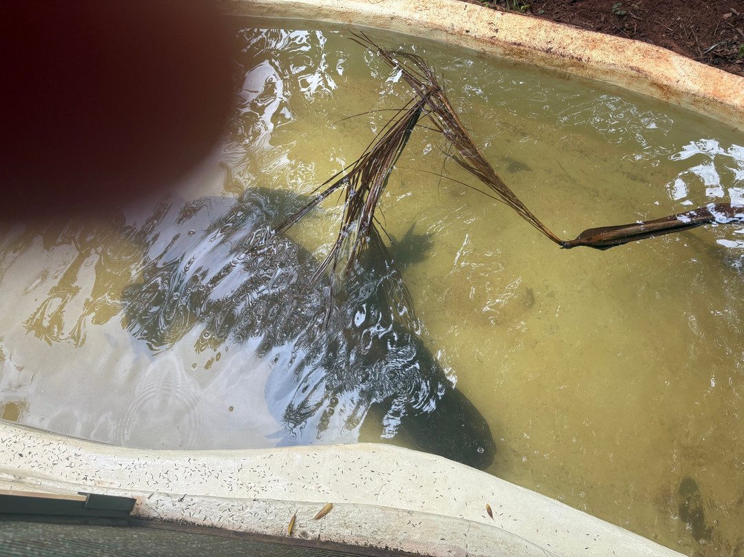 Bio Centro Iguazu-伊瓜苏港必去景点