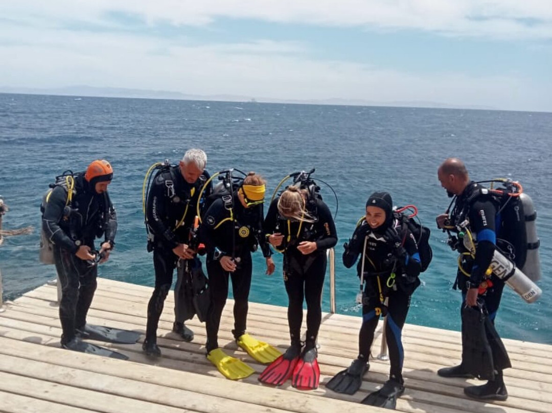 Octopus World Dahab-达哈卜必去景点