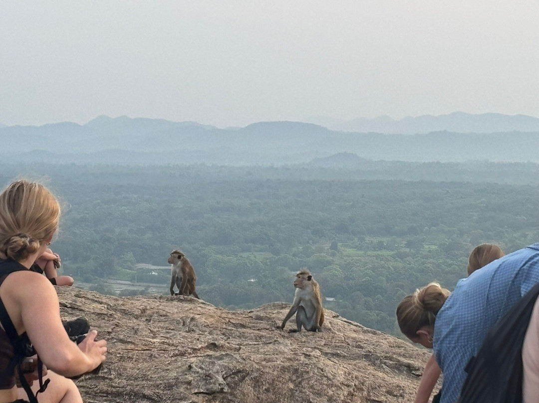 Odyssey Tour De Lanka-蒂瑟默哈拉默必去景点