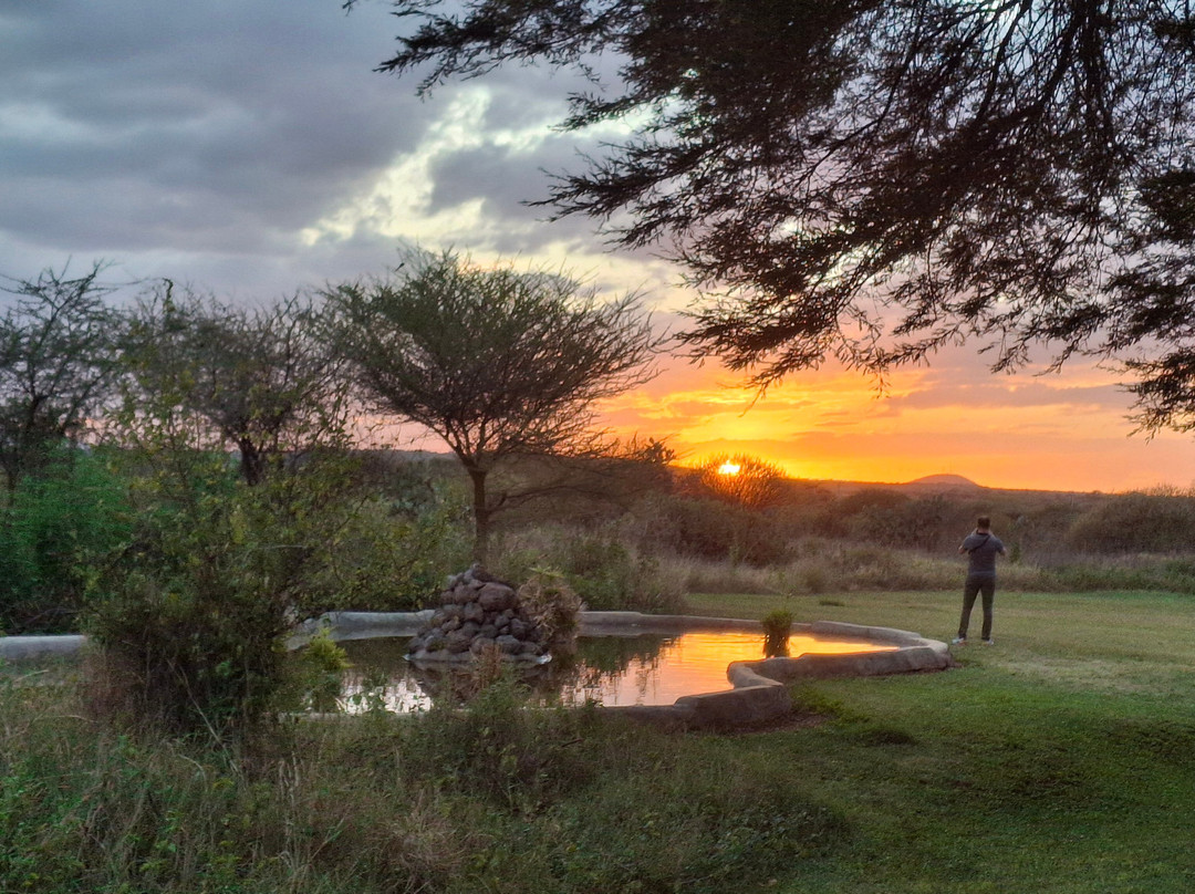 Topcats Safaris Ltd-奇安波必去景点