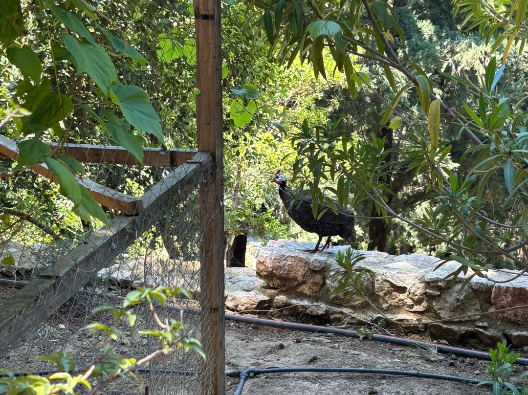 Kos Natural Park-Zia必去景点