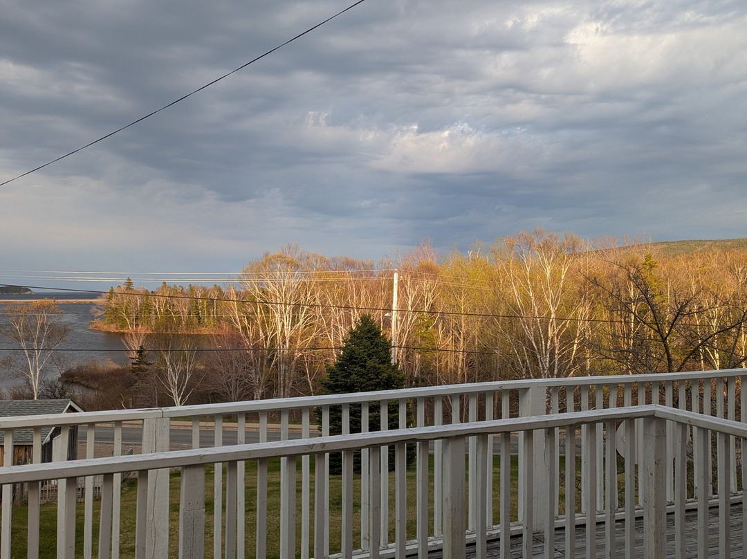 The Island Inn主图