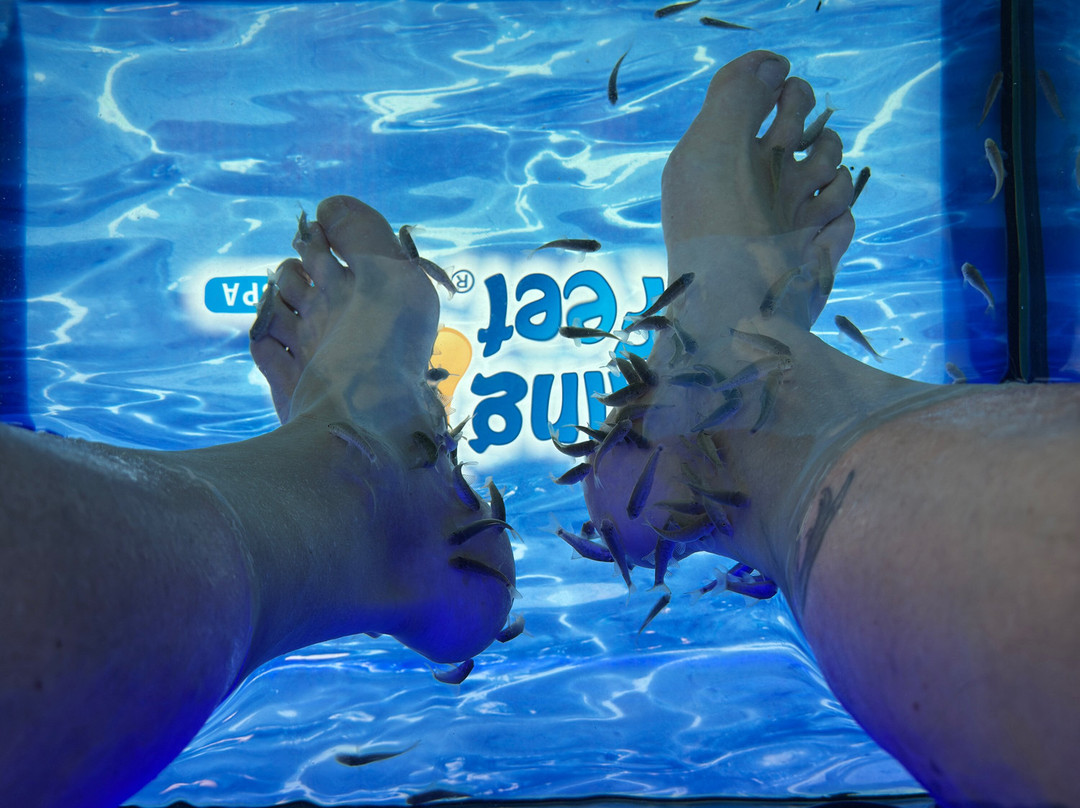 Smiling Feet Fish Spa-帕格拉必去景点