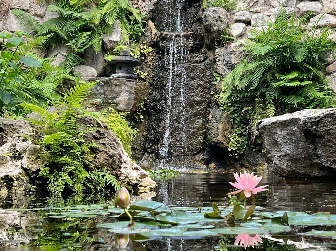 Zilker Botanical Garden-奥斯丁必去景点