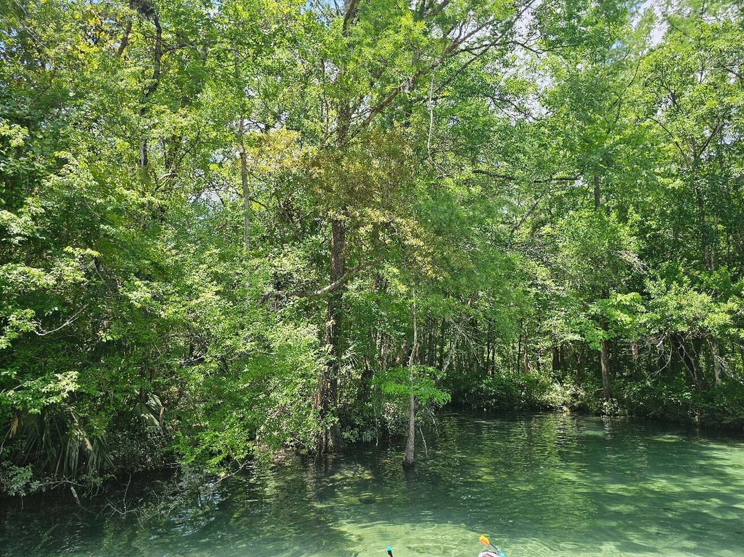 Ponce de Leon Springs State Park景点图片