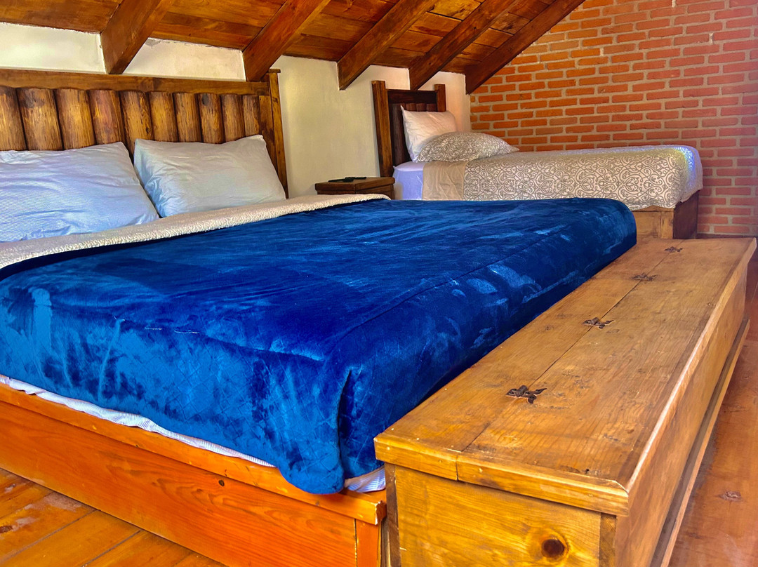 Finca La Patrona By Gestores