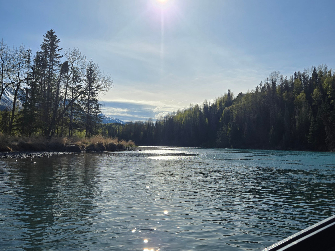 Lakeview Outfitters-Cooper Landing必去景点