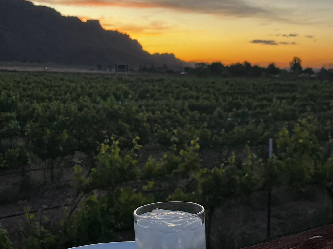 Spanish Valley Vineyards and Winery-莫阿布必去景点