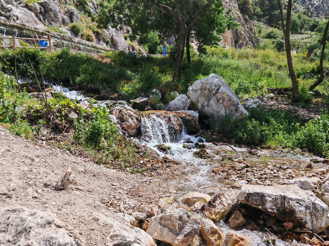Fuente de los Cien Canos景点图片