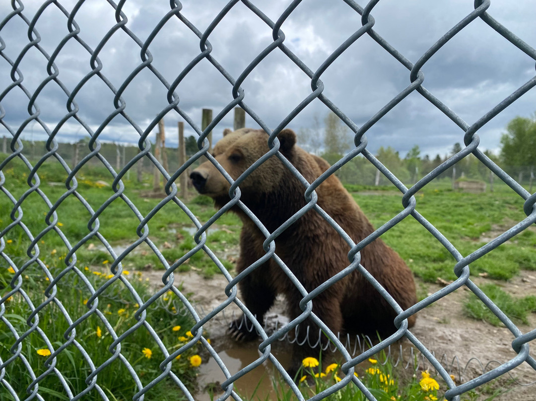 CineZoo-Sainte-Anne-de-la-Rochelle必去景点