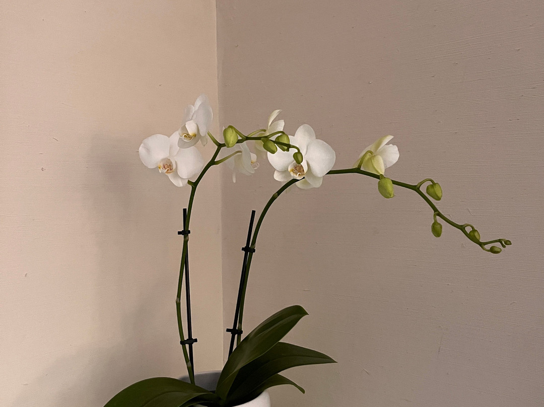 海港大楼酒店主图