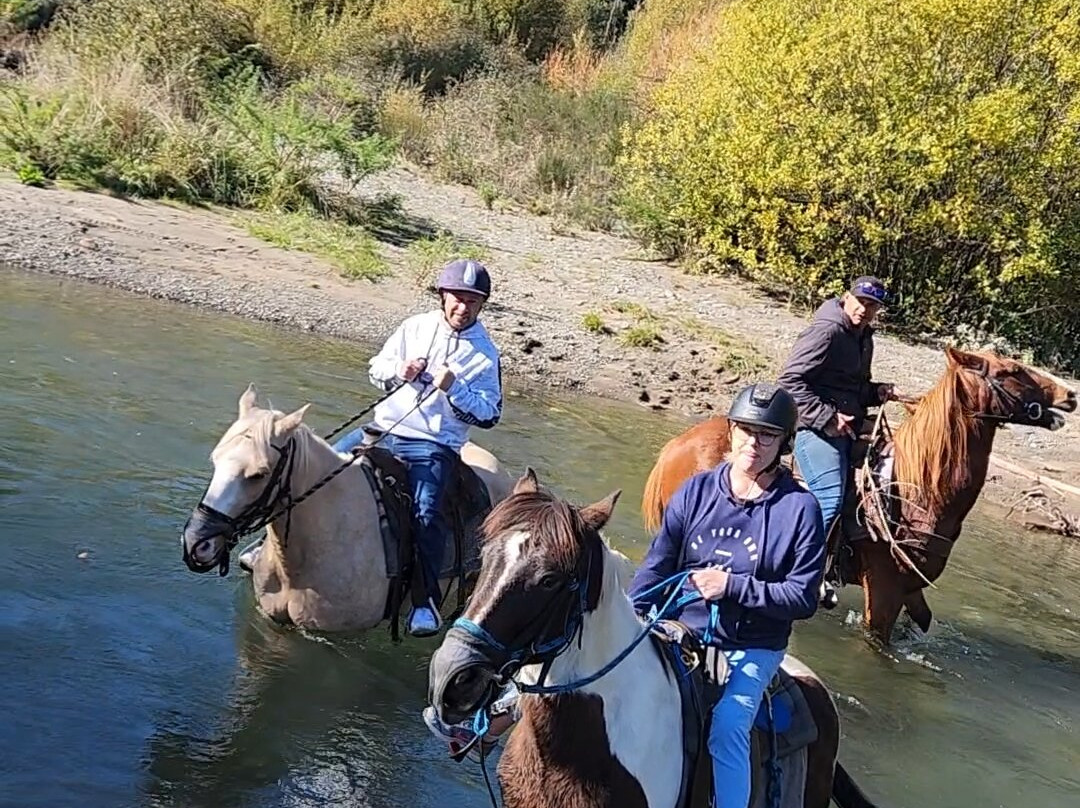Korohe Horse Treks景点图片