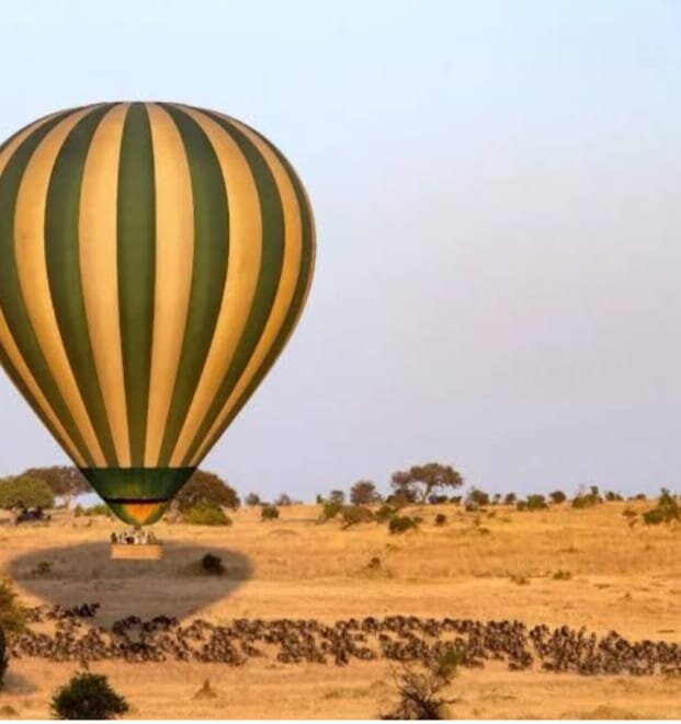Great Lakes African Wonders-阿鲁沙国家公园必去景点