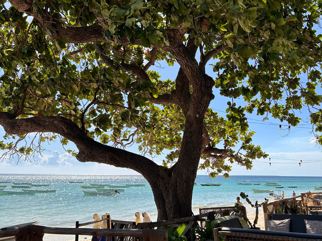 Travel Plus Zanzibar Tours & Safari-石头城必去景点