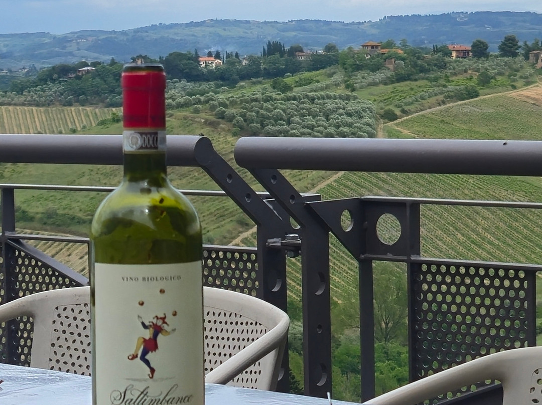 Poderi Arcangelo Winery景点图片