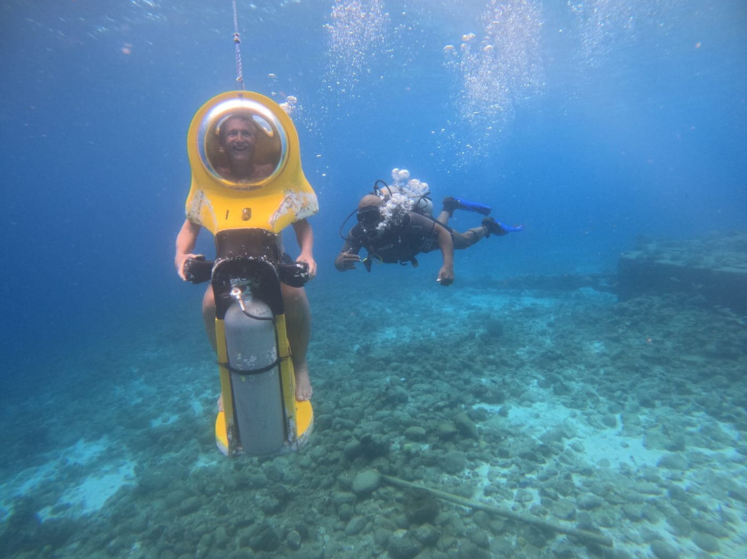 Aquafari-威廉斯塔德必去景点