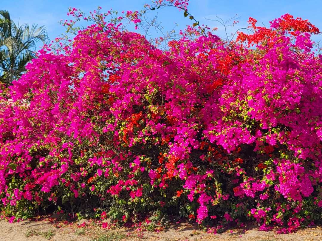 Summer's Ranch-瓦拉塔港必去景点