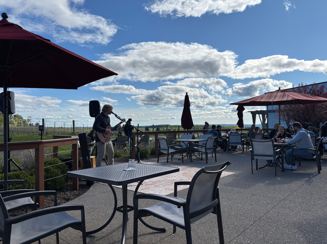 Chateau Grand Traverse Winery-特拉弗斯城必去景点