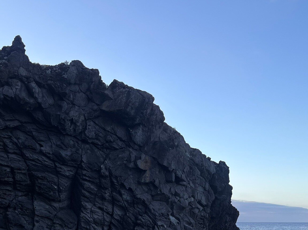 Manta Diving Madeira-Canico必去景点