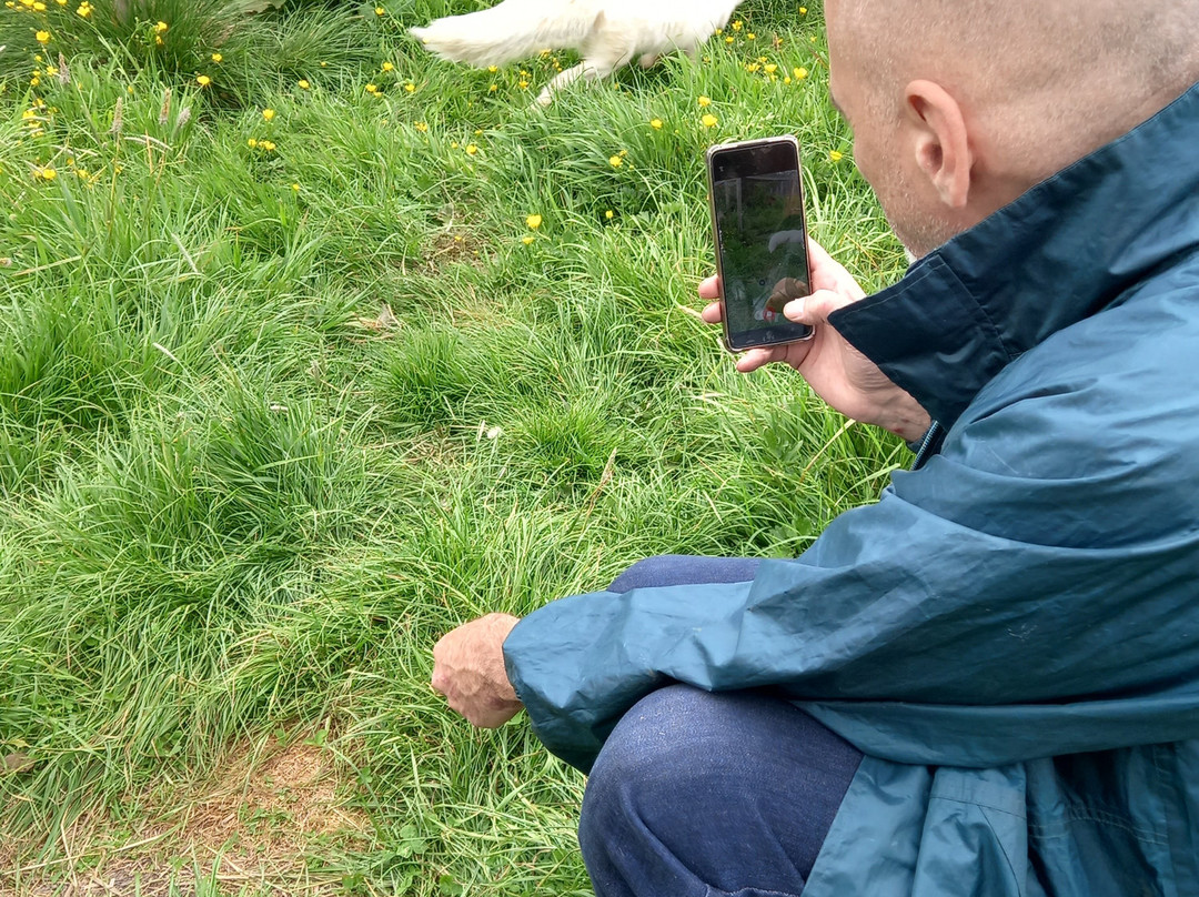 Ark Wildlife Park & Exotic Animal Sanctuary景点图片