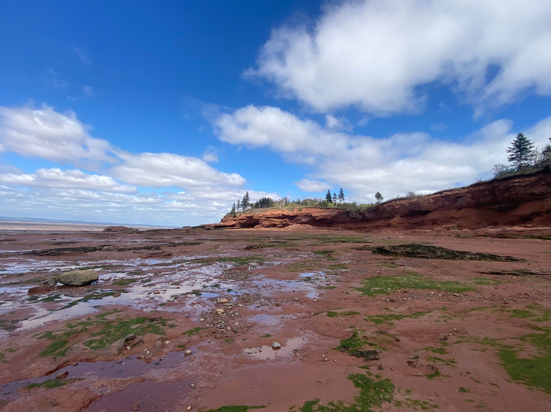 Burntcoat Head Park-Noel必去景点