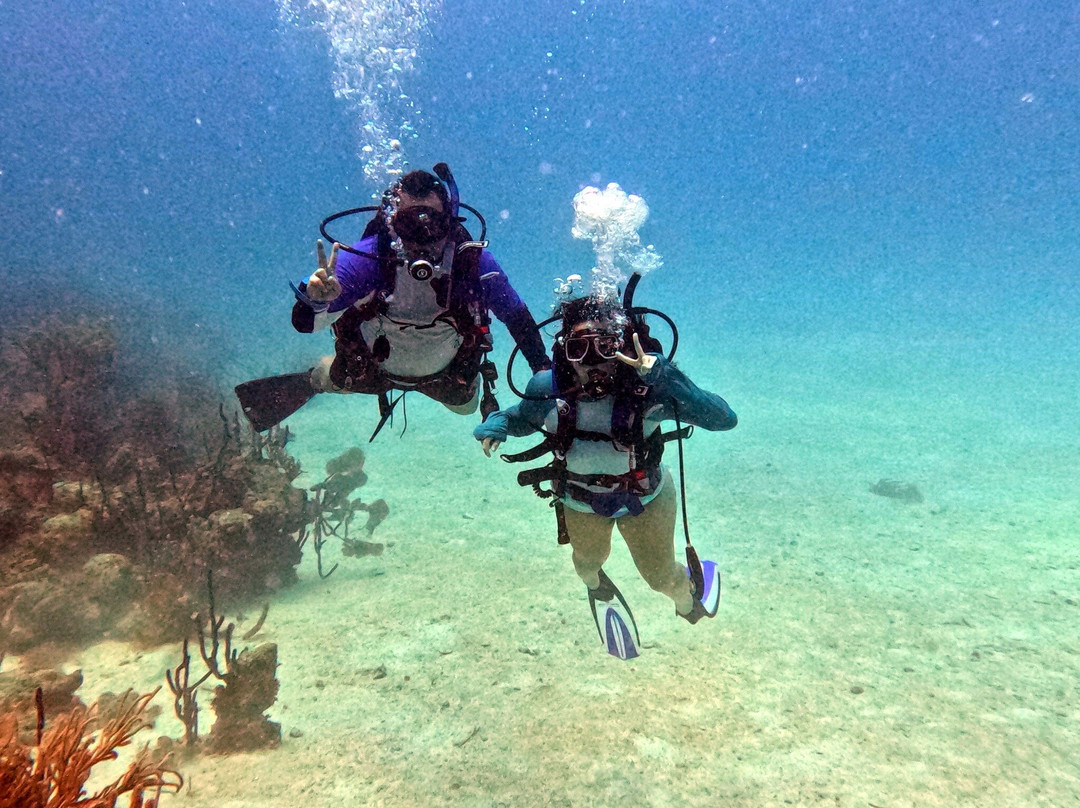 Ultra Marine Divers-蓬塔卡纳必去景点