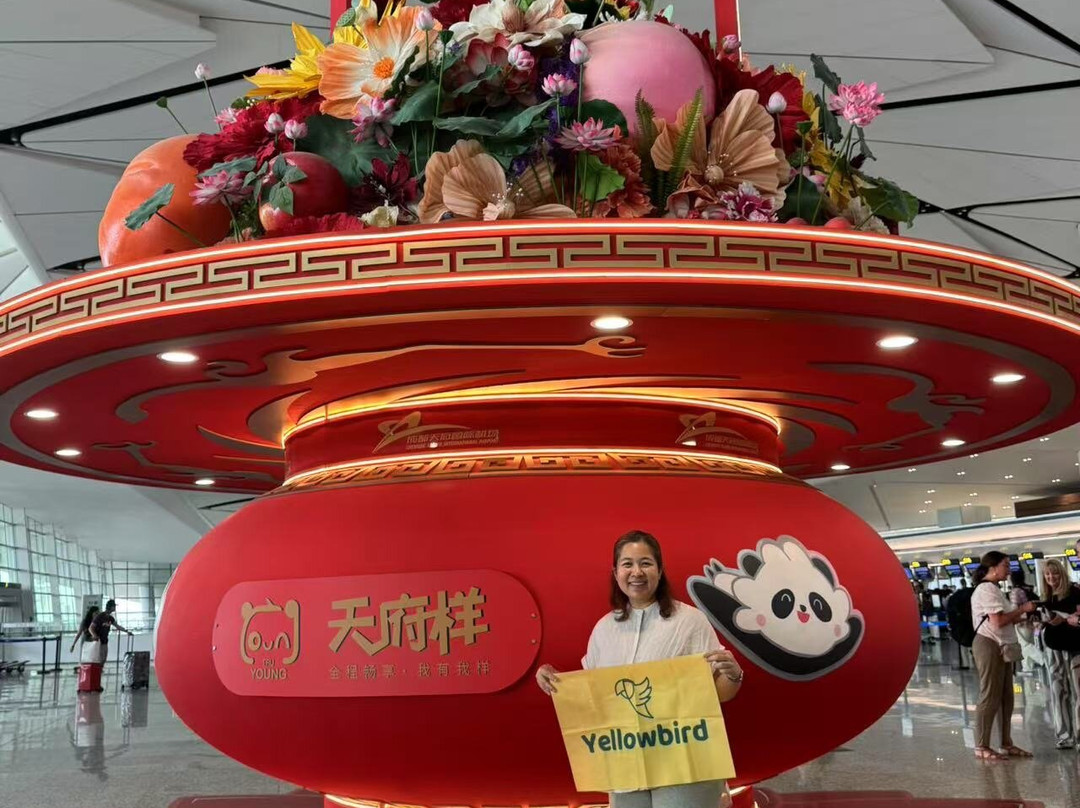 Yellowbird Tour-成都必去景点