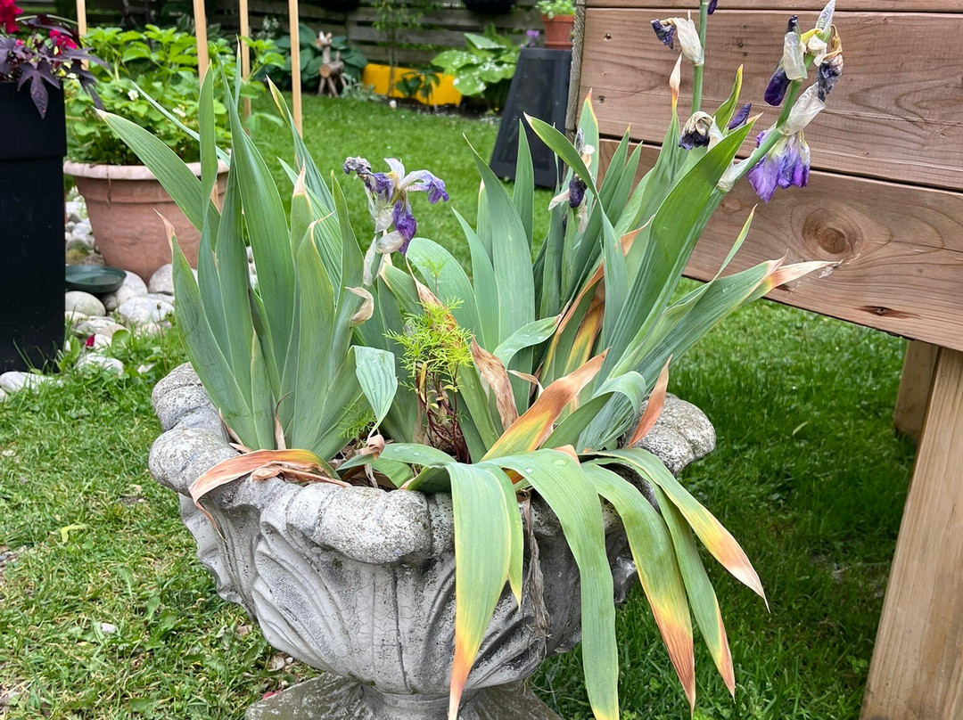 Pass It On Store-圣玛丽必去景点