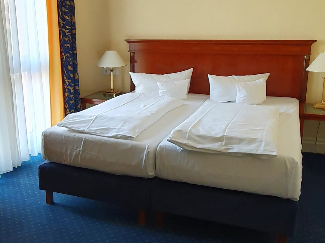 Hotel Villa Geyerswörth主图