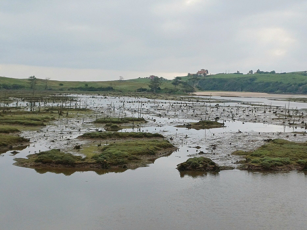 Spain is More-莱昂必去景点