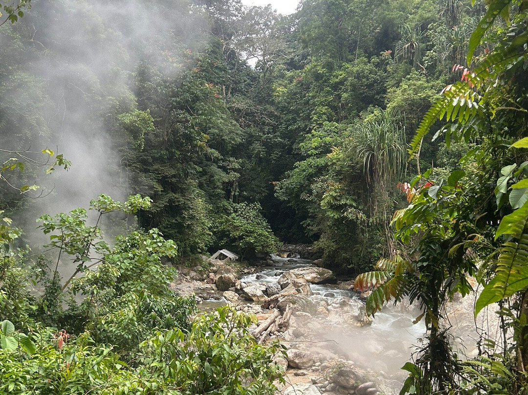 Hasby Ketambe Jungle Tours-Ketambe必去景点