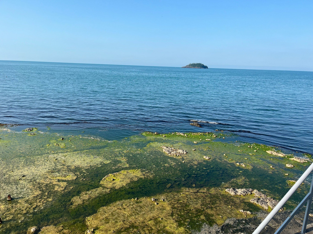 La Quinta By Wyndham Giresun主图