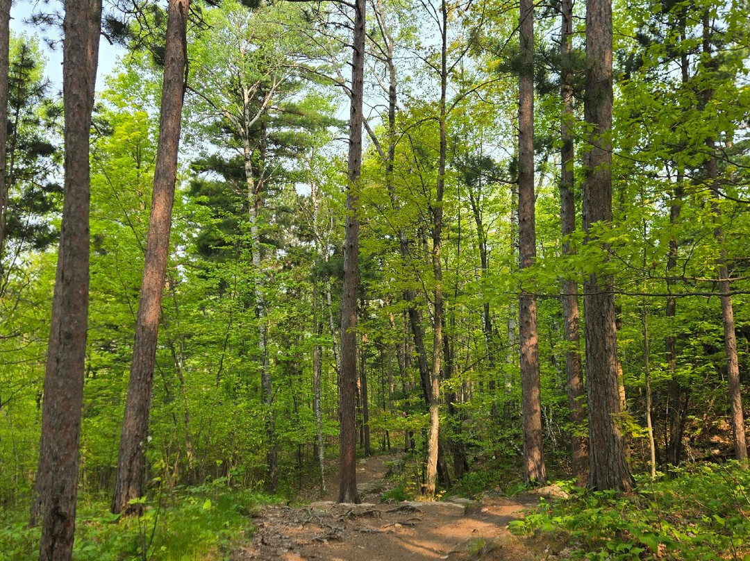 Sugarloaf Mountain-Marquette必去景点
