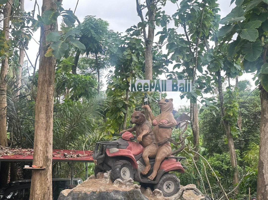 Kamareka tour and travel-登巴萨必去景点